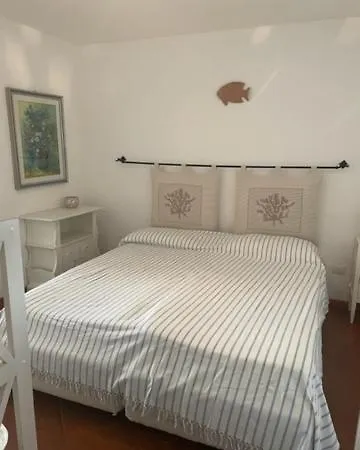 Conchiglia Marina